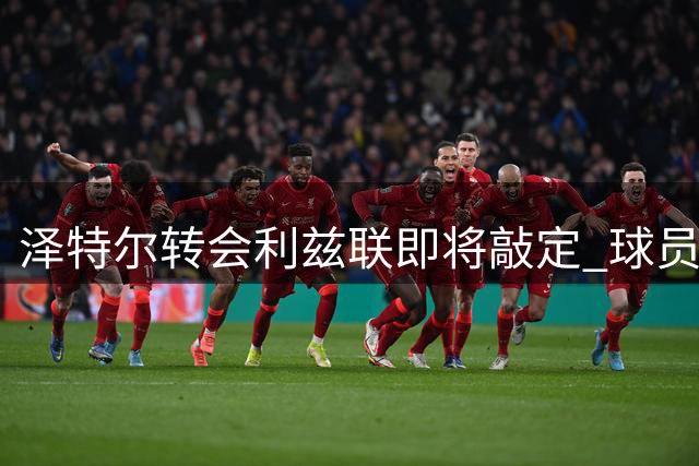 泽特尔转会利兹联即将敲定 球员赴英面谈细节